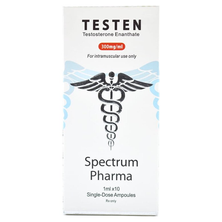 Spectrum Pharma Testen 300mg 10 Ampolas 1ml | Enantato de Testosterona
