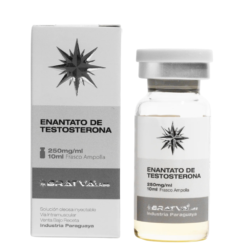 Bratva Enantato de Testosterona 250mg/10ml