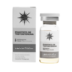 BratvaLabs Enantato de Testosterona 250mg/ml