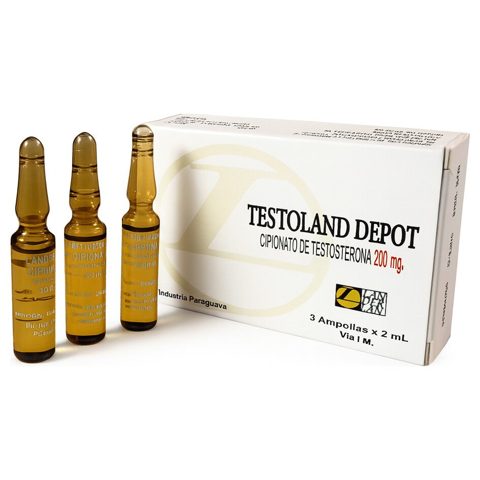 Landerlan Testoland Depot Cipionato de Testosterona 200mg 3 ampolas 2ml