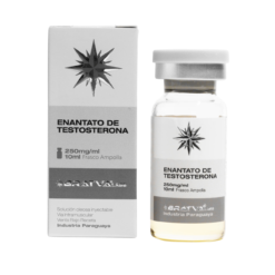 BratvaLabs Enantato de Testosterona 250mg/ml